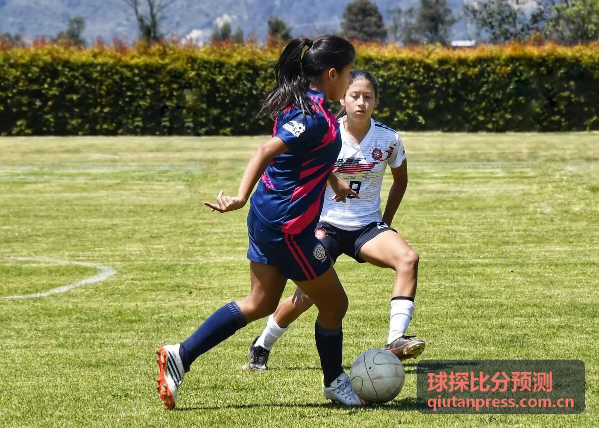 球探比分预测实时赛事数据面板